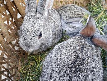 德国一男子沉迷玩PS游戏 竟然不知家中起大火